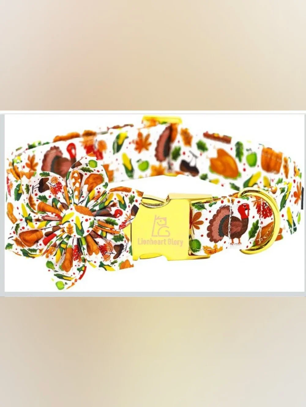 Lionheart glory 🐶 Dog Collar w/Flower Bow Turkey Print, Size M